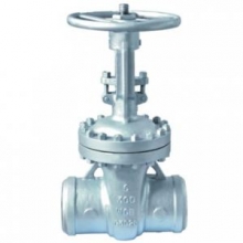 Cast steel gate valve 300Lb